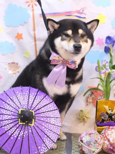 20240512ココくん